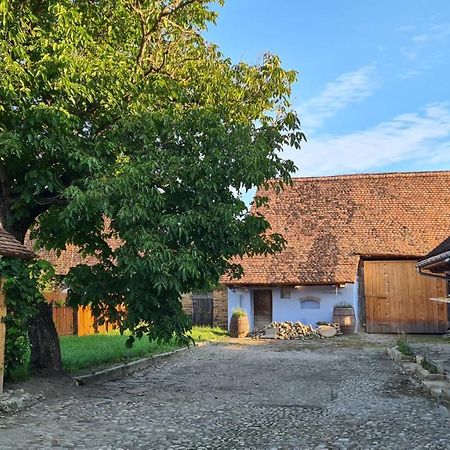 Haus Rether - Transylvanian Guesthouse Bunesti  Exterior foto