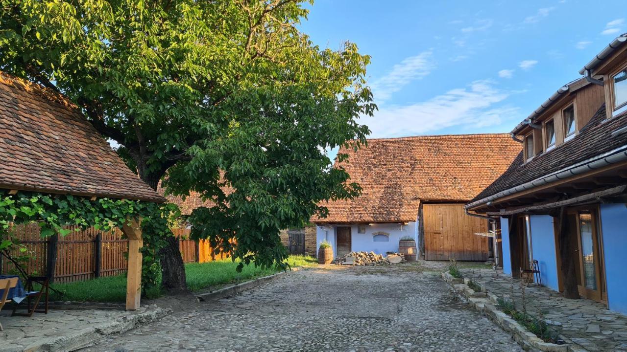 Haus Rether - Transylvanian Guesthouse Bunesti  Exterior foto