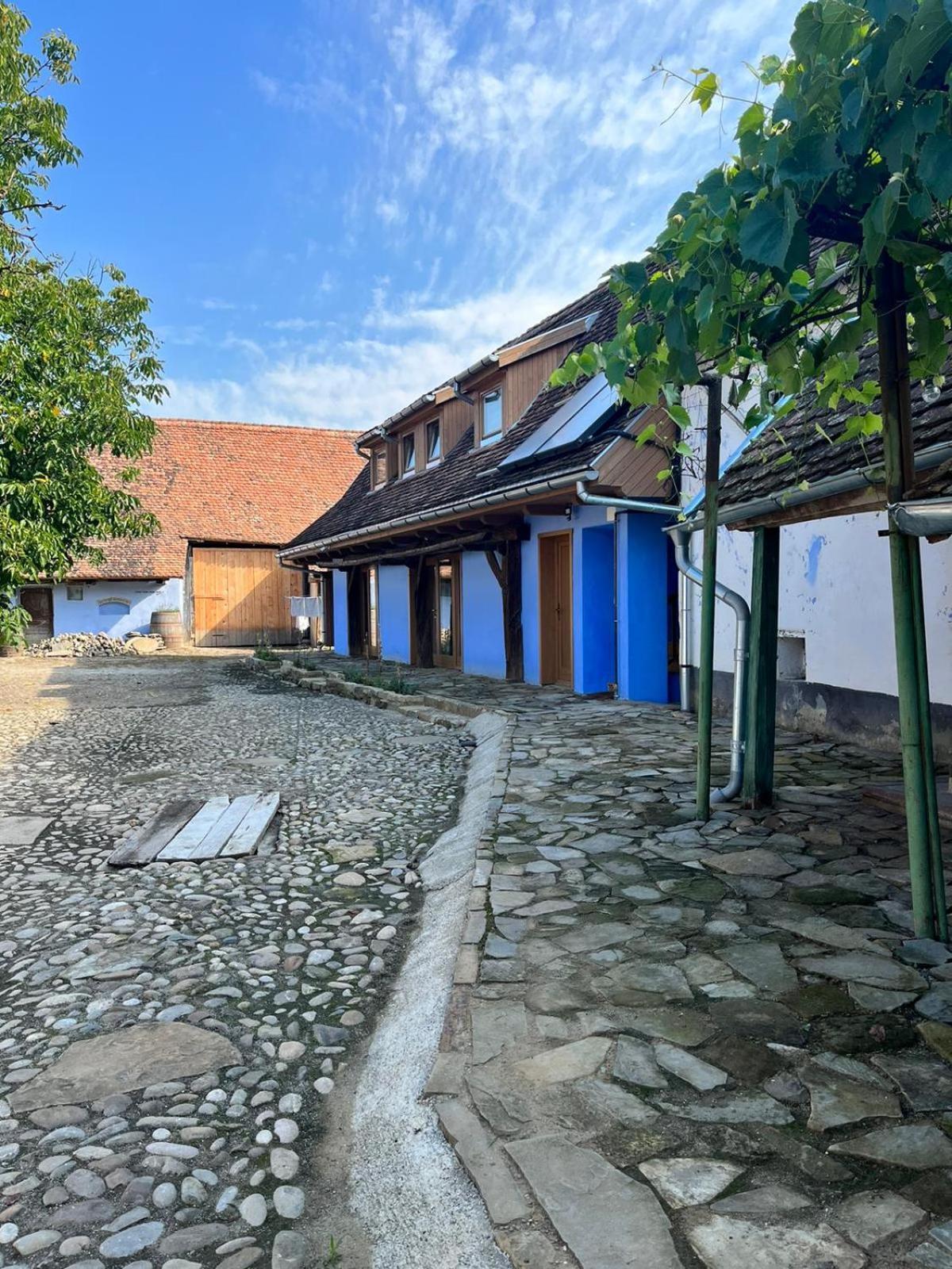 Haus Rether - Transylvanian Guesthouse Bunesti  Exterior foto