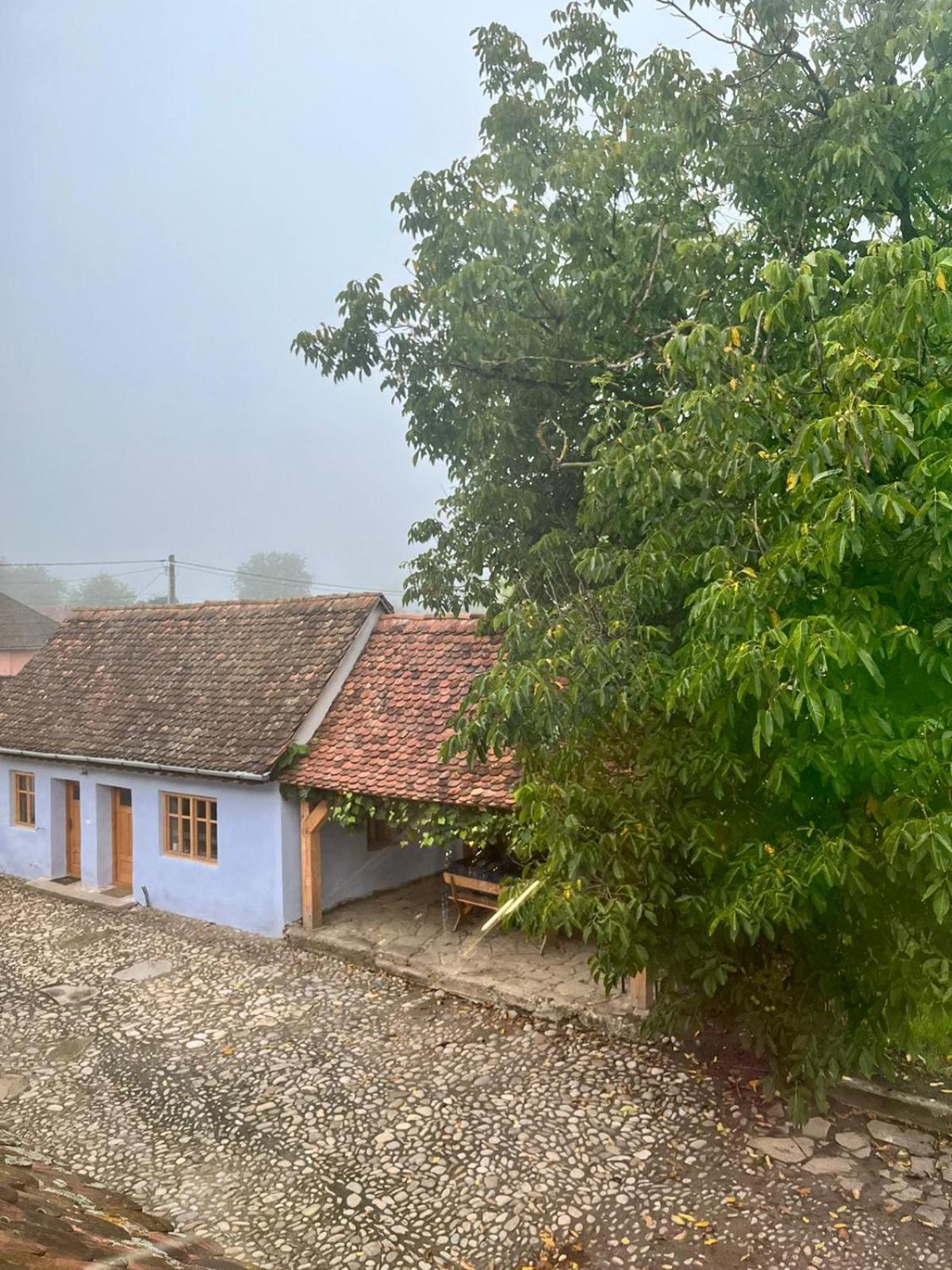 Haus Rether - Transylvanian Guesthouse Bunesti  Exterior foto